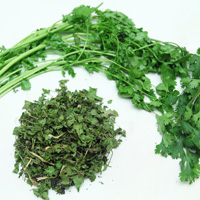 Dried Coriander