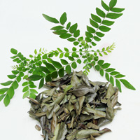 Dried Curry leaves